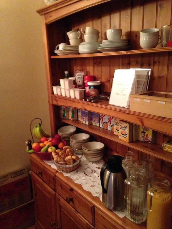 San Antonio Guesthouse Kilkenny Buitenkant foto