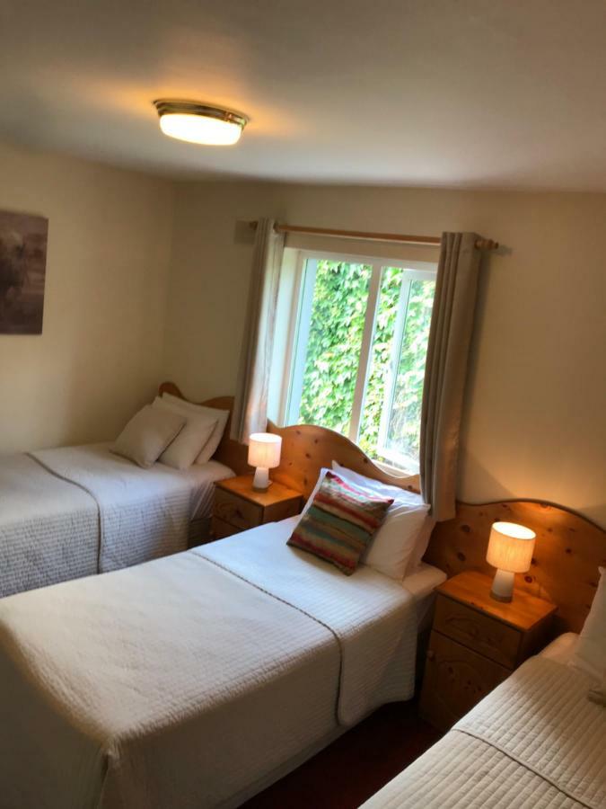 San Antonio Guesthouse Kilkenny Buitenkant foto