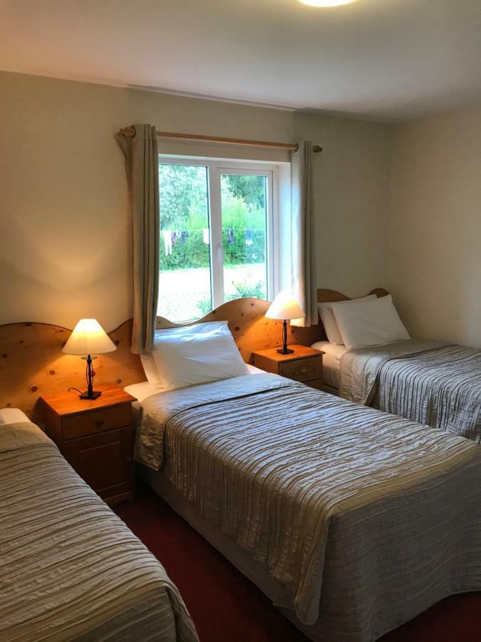 San Antonio Guesthouse Kilkenny Buitenkant foto